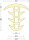 ESTP6 - 5 Meter - TPE Solid Rubber Frame Profile, Insert Profile, Mushroom Profile, Container Rubber
