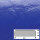 Profil de protection de surface FS1-D-B (PU) avec surface adhésive en bleu - protection antichoc - profil de signalisation - profil de protection