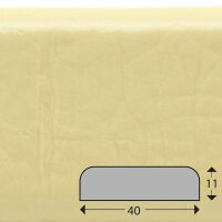 FS1-D-BE Flächenschutzprofil (PU) mit...