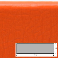 FS3-D-O profil de protection de surface (PU) avec surface...